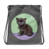 Kitten Drawstring bag
