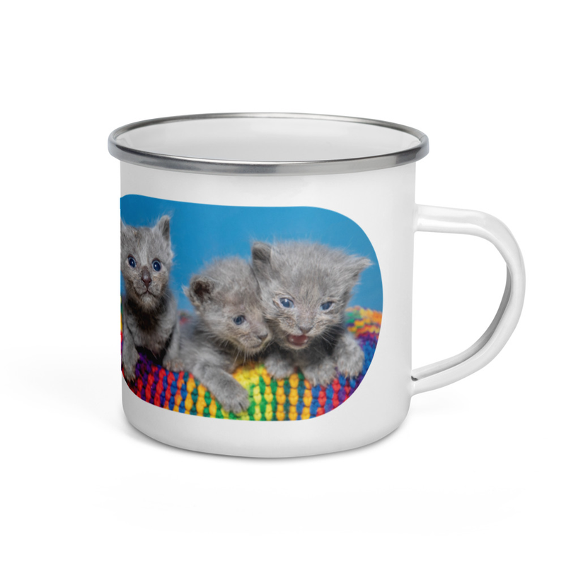Kitten Enamel Mug
